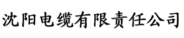 成人网站电缆厂logo